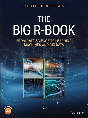 cover image of The Big R-Book
